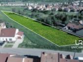 Prodej pozemku pro bydlení, 6 046 m²