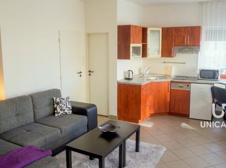 Pronájem bytu, 1+kk, 33 m²