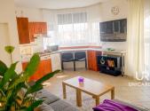 Pronájem bytu, 1+kk, 33 m²