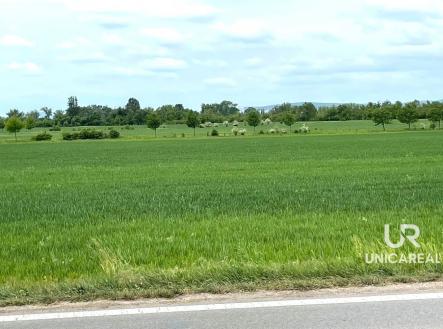 Prodej pozemku, zemědělská půda, 11 752 m²