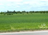 Prodej pozemku, zemědělská půda, 11 752 m²