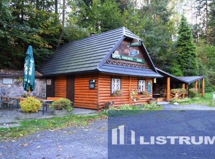 Prodej - restaurace, 150 m²