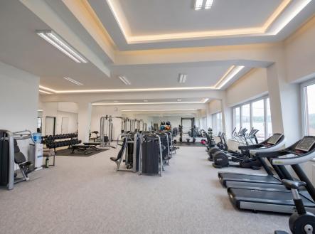 Pronájem obchodní prostory, 219 m²