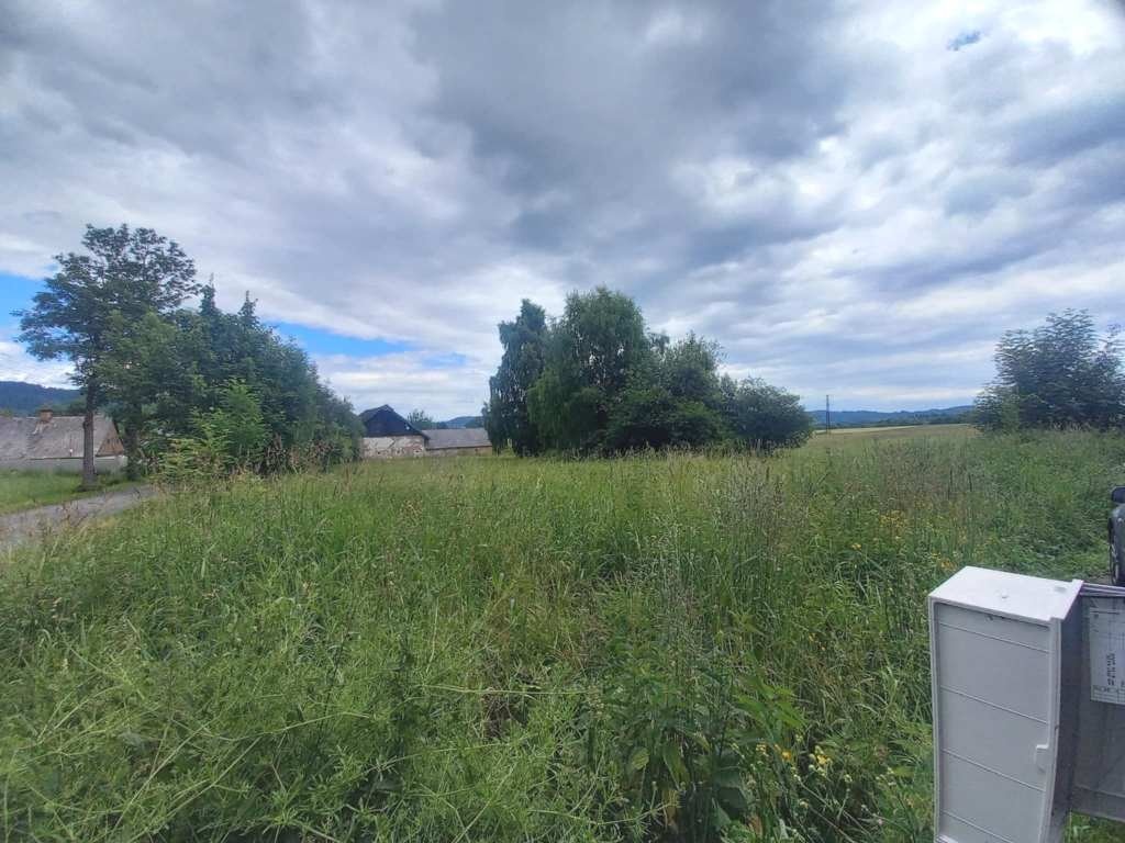 dd46007c-9352-4967-8647-3034576bd277