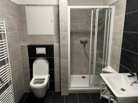 Pronájem bytu, 1+kk, 30 m²