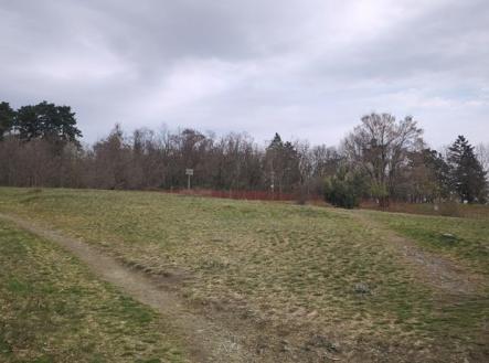 Prodej pozemku, zahrada, 617 m²