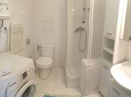 Pronájem bytu, 1+kk, 25 m²