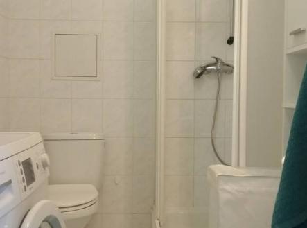 Pronájem bytu, 1+kk, 25 m²