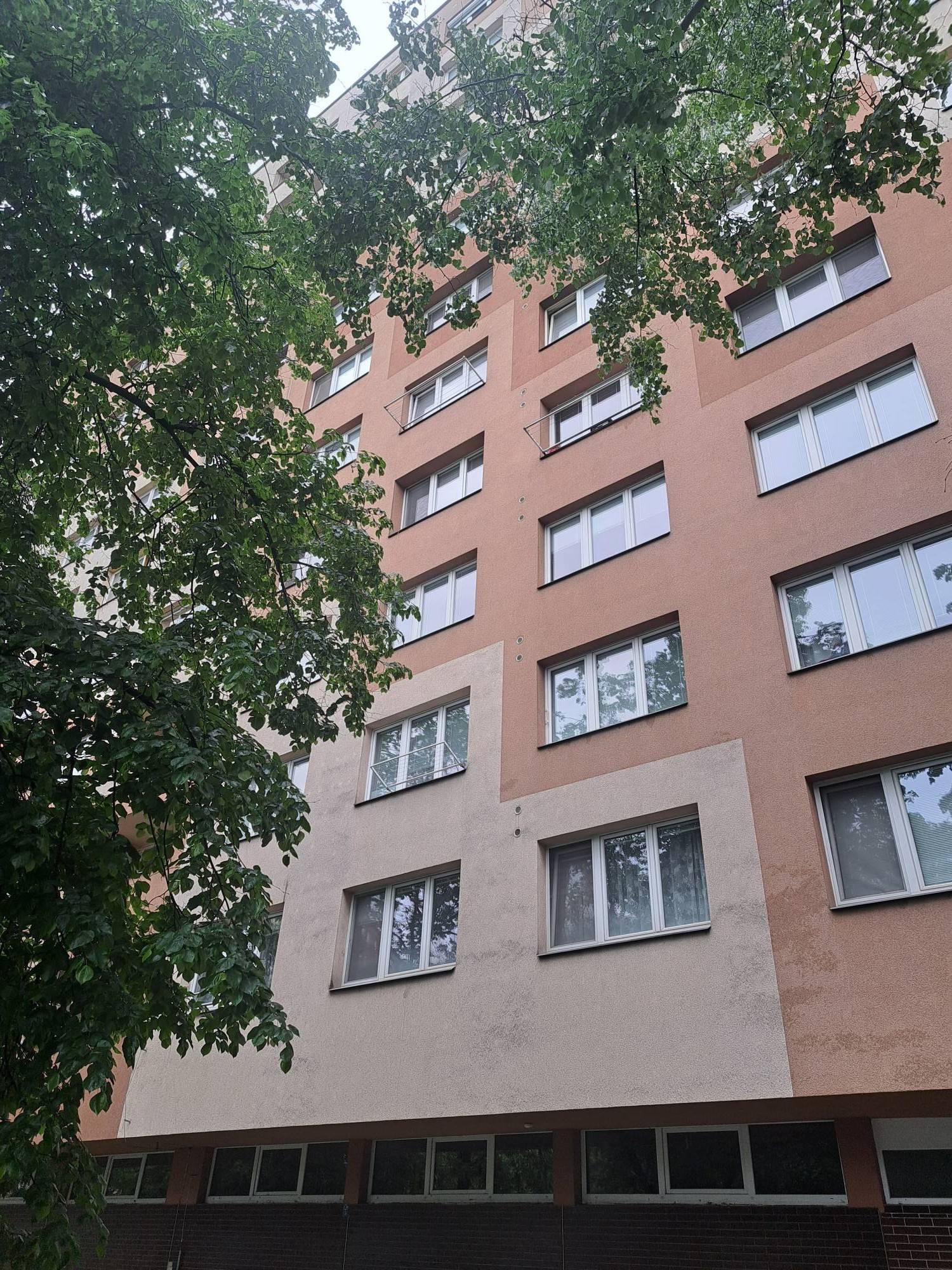 Bez popisku