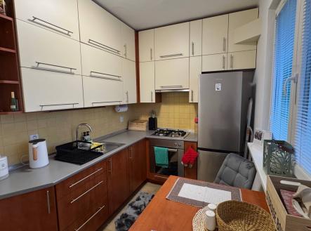 Pronájem bytu, 1+1, 42 m²