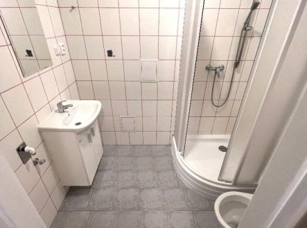 Pronájem bytu, 1+kk, 30 m²