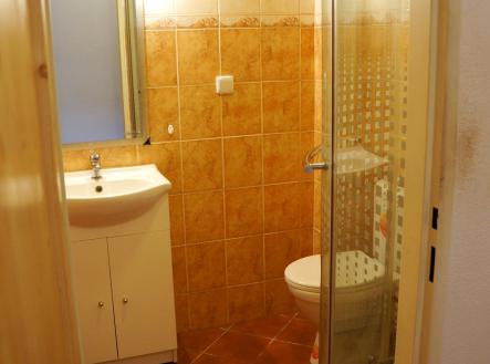 Pronájem bytu, 1+kk, 30 m²