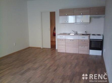 Pronájem bytu, 1+kk, 41 m²