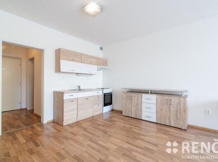 Pronájem bytu, 1+kk, 41 m²