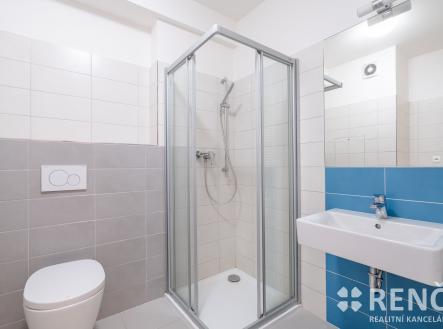 Pronájem bytu, 1+kk, 41 m²