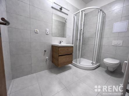 Pronájem bytu, 2+1, 65 m²