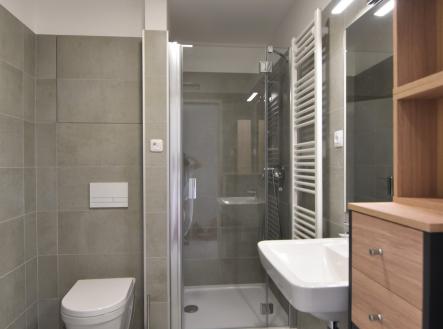 Pronájem bytu, 1+kk, 42 m²