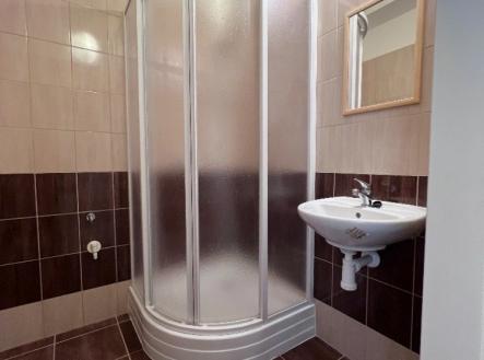 Pronájem bytu, 2+1, 55 m²