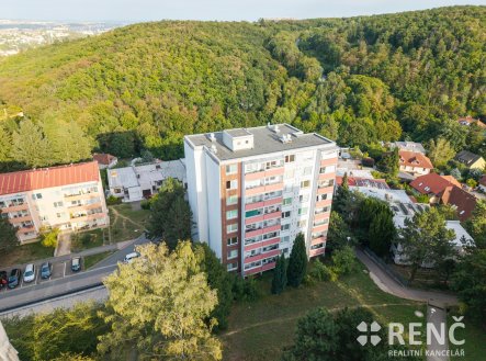 Prodej bytu, 1+1, 42 m²