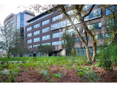 Pronájem kanceláře, 472 m²