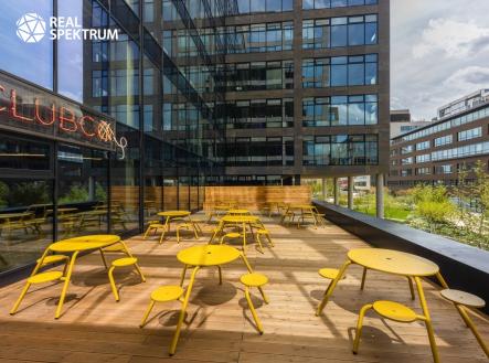 Pronájem kanceláře, 506 m²