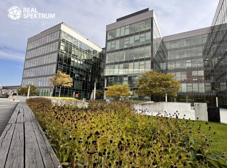 Pronájem kanceláře, 414 m²