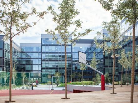 Pronájem kanceláře, 414 m²