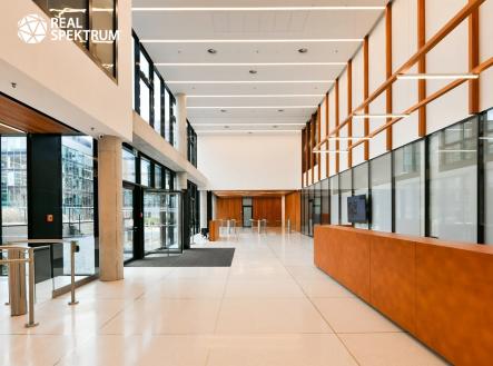 Pronájem kanceláře, 557 m²