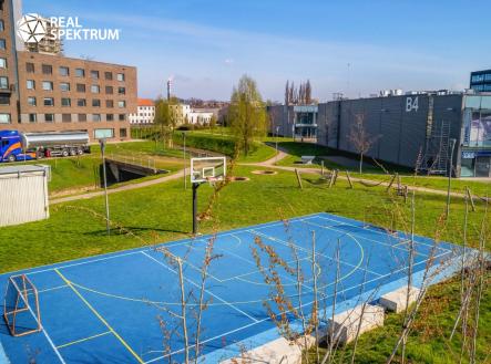 Pronájem kanceláře, 765 m²