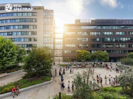 Pronájem kanceláře, 249 m²