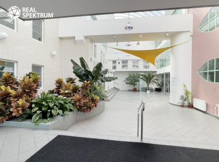 Pronájem kanceláře, 1 017 m²