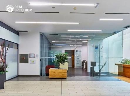 Pronájem kanceláře, 373 m²