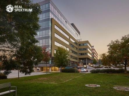 Pronájem kanceláře, 373 m²