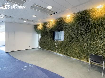 Pronájem kanceláře, 421 m²