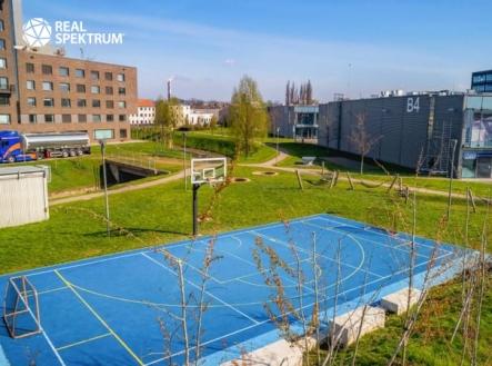 Pronájem kanceláře, 1 233 m²