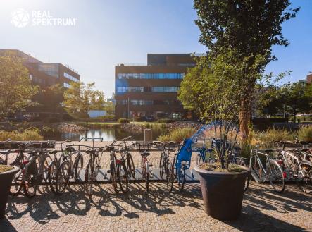 Pronájem kanceláře, 872 m²