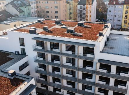 Prodej bytu, 1+kk, 45 m²