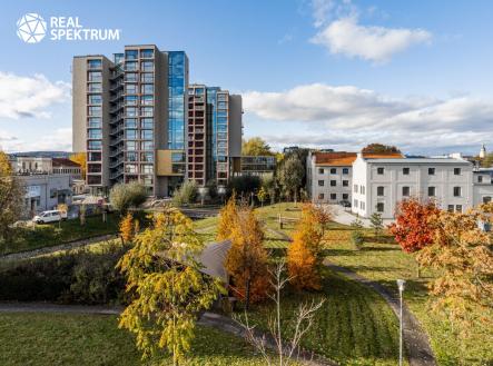 Pronájem obchodní prostor, 855 m²