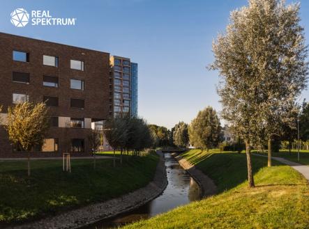 Pronájem obchodní prostor, 180 m²