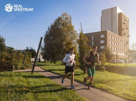 Pronájem kanceláře, 397 m²