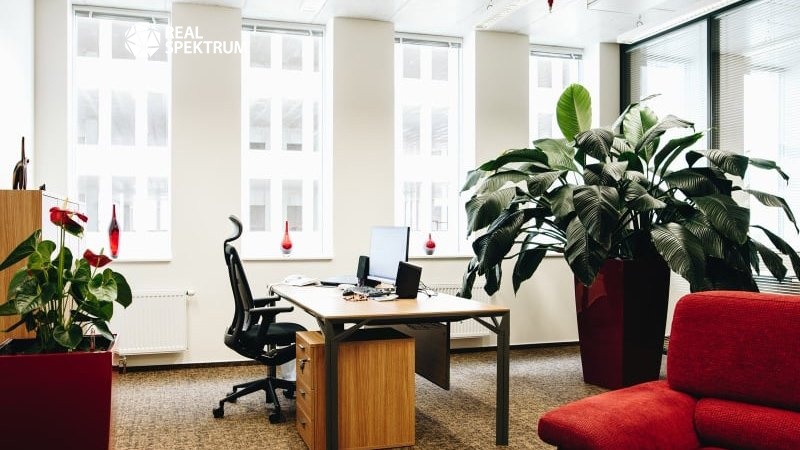 Pronájem KA Tuřanka_02