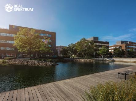 Pronájem kanceláře, 240 m²