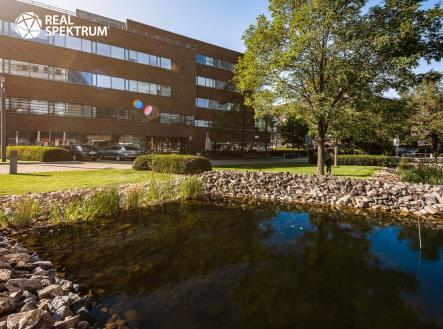 Pronájem kanceláře, 240 m²