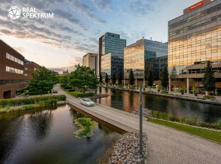 Pronájem kanceláře, 603 m²