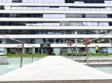 Pronájem kanceláře, 485 m²