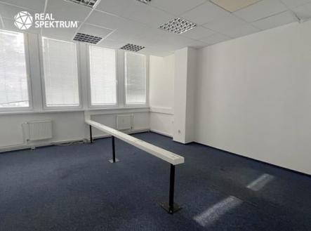 Pronájem kanceláře, 259 m²