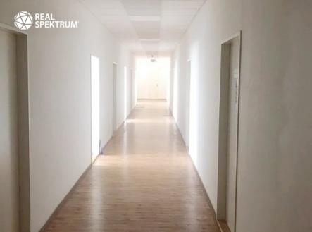 Pronájem kanceláře, 436 m²
