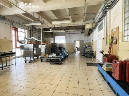 Prodej komerčního objektu, výroba, 10 000 m²