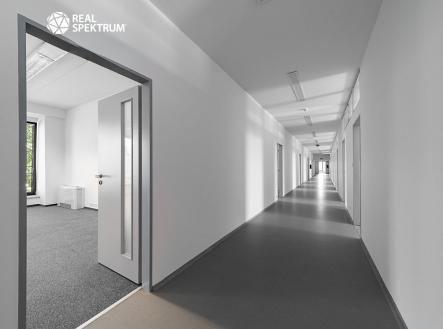 Pronájem kanceláře, 426 m²