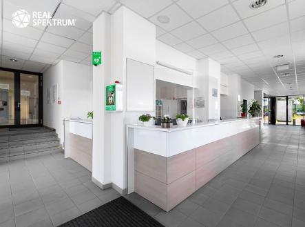 Pronájem kanceláře, 426 m²